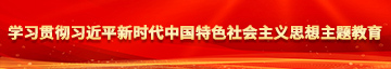 啊啊啊老逼视频网站com学习贯彻习近平新时代中国特色社会主义思想主题教育